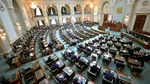 Președintele interimar al Senatului: Începând de luni, pontajul și accesul în instituție se realizează pe bază de cartelă