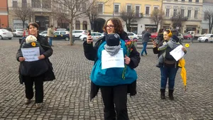 GALERIE FOTO Protest în 