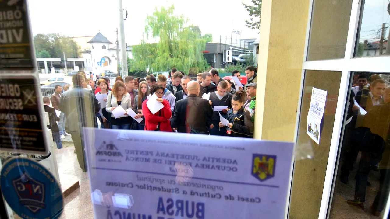 Analiză: topul sectoarelor cu cele mai multe locuri de muncă vacante