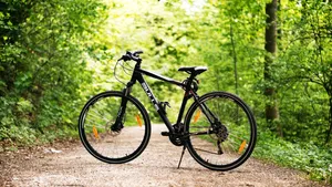 Pe urmele lui Bachus, dar pe bicicletă. Cel mai nou traseu de mountain bike din România are 36 de kilometri