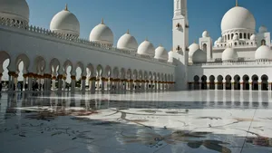 Planuri pentru un atac armat pe TikTok. Tânăr pus sub acuzare după ce a amenințat o moschee și a afișat simboluri neonaziste