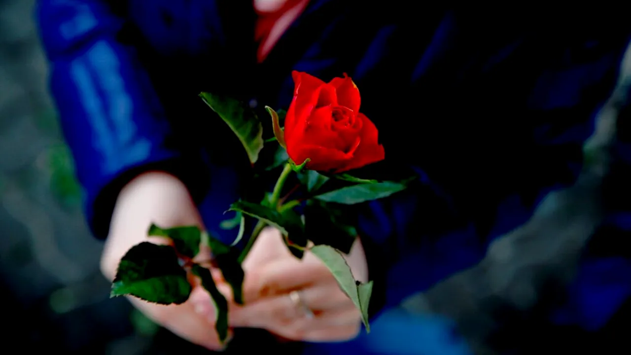 DNSC, avertisment de 8 Martie: Femeile sunt principalele ținte ale fraudelor romantice online