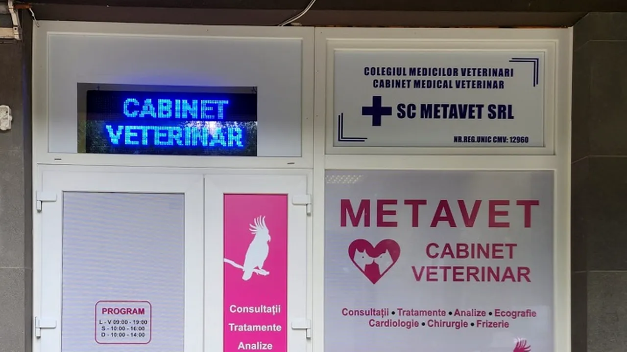 Povestea METAVET incepe cu o dorinta de a face bine animalelor... 