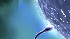 Terapia celulară, o nouă şansă pentru bărbaţii cu probleme de fertilitate