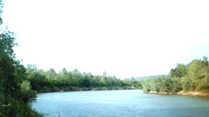 Prutul s-a revărsat în dreptul localităţii gălăţene Vădeni