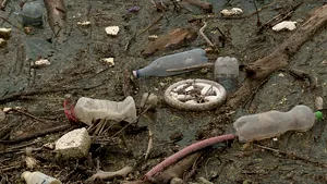 Garda de Mediu a amendat o primărie cu 150.000 de lei pentru că a aruncat gunoaie pe malul râului Argeş