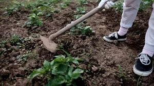 Caz şocant la Bacău: Adolescent, acuzat că şi-a omorât tatăl şi l-a îngropat în spatele casei