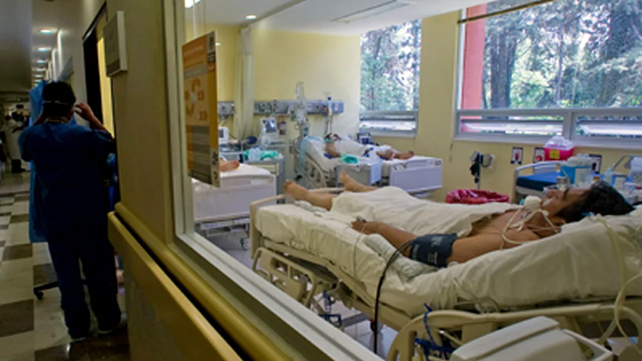 Gripa porcină a provocat moartea a 107 oameni în România