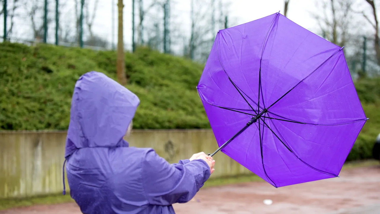 METEO Cod galben de vânt puternic în mai multe localităţi din Neamţ