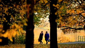 METEO #azi 29 octombrie 2019: Vremea se răceşte accentuat. Apar ploile şi ninsorile la munte