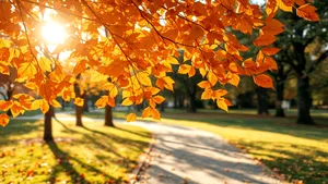 Temperaturi record în România la început de noiembrie. ANM anunță când se răcește vremea