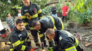 Doi pui de câine, salvați dintr-o fântâna îngustă și adâncă de nouă metri