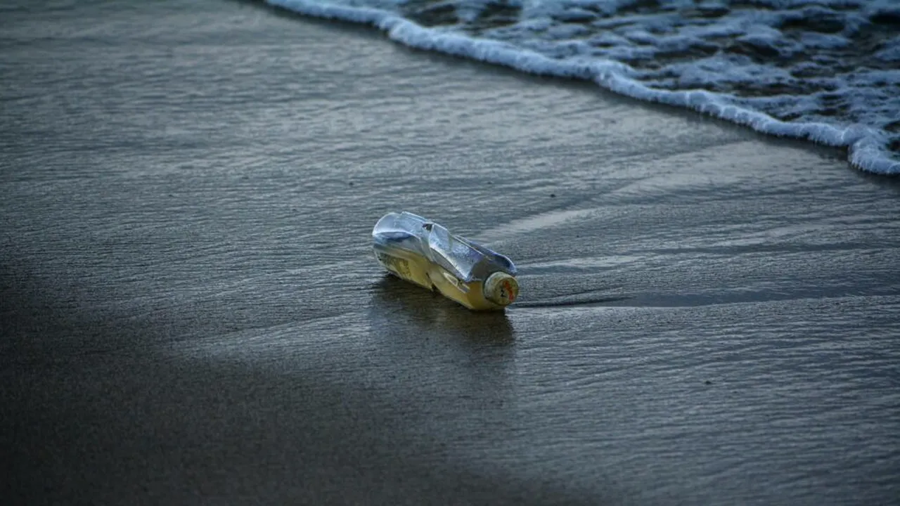 Băncile de dezvoltare vor investi 3 miliarde de euro în lupta cu plasticul din oceane