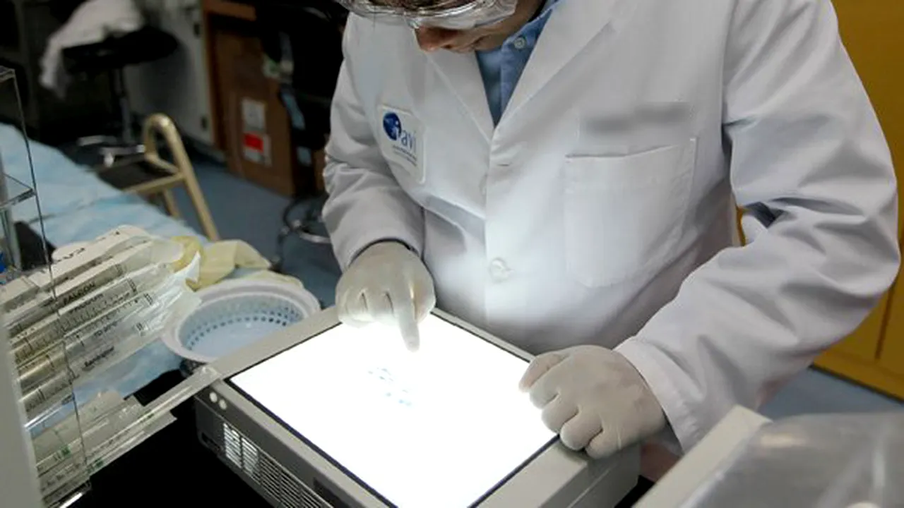 Medicamente fabricate din alge, utile împotriva cancerului