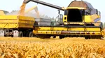 Bloomberg: Atacurile Rusiei din Marea Neagră au dus la cea mai mare creștere a prețurilor culturilor agricole. Risc de inflație a prețurilor la alimente