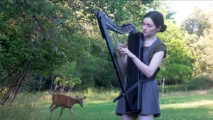 VIDEO | O căprioară melomană a venit să asculte 