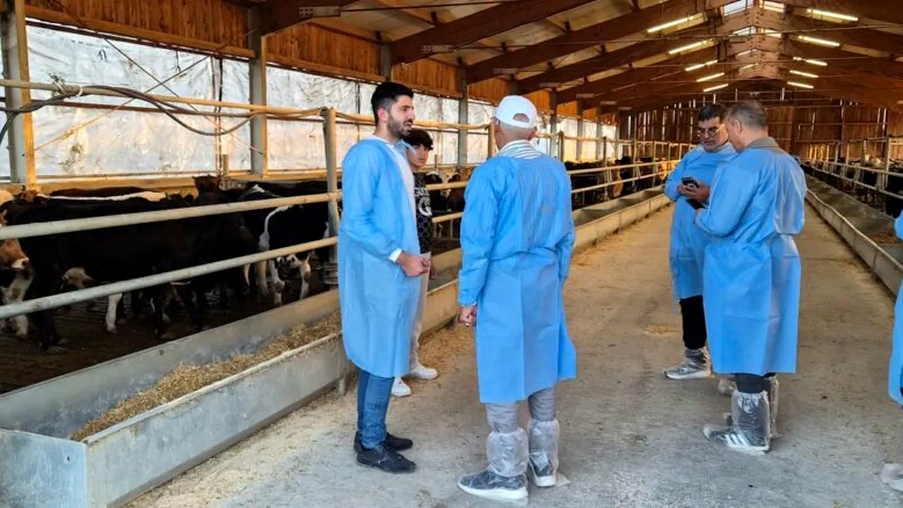 O piață importantă pentru crescătorii români s-ar putea redeschide. Exporturile au valorat 14,3 milioane de dolari
