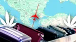 Un albanez, reţinut pe Aeroportul Otopeni cu 26 kg de canabis în bagaje | EXCLUSIV