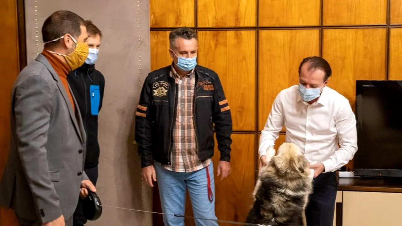 Cu o zi înainte de moţiunea de cenzură, Cîţu face o postare despre câinii fără stăpân