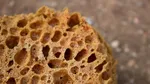 Cercetătorii au dezlegat misterul unei fosile vechi de 160 de milioane de ani: „N-am mai văzut niciodată așa ceva”