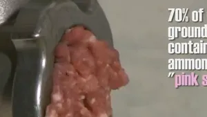 Ce conţin în realitate hamburgerii, mierea şi iaurtul grecesc. Lucruri pe care trebuie să le ştii despre mâncare - VIDEO