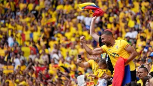 Solicitare specială din partea FRF pentru suporterii care vin la meciul România-Lituania