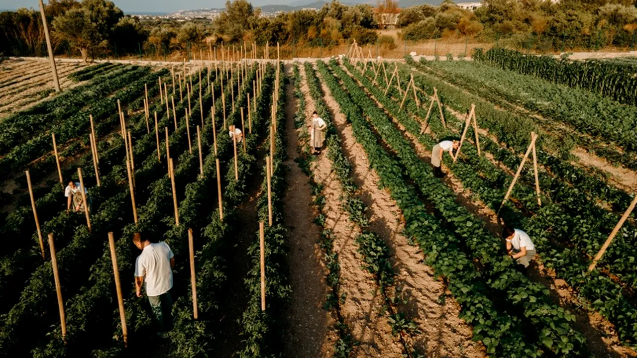 Turcia a reuşit să facă un pas important în gastronomia sustenabilă. În 2025 va avea 10 restaurante premiate cu MICHELIN Green Star