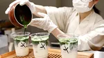 Matcha: ceaiul japonez care cucerește lumea. Care sunt beneficiile acestei băuturi