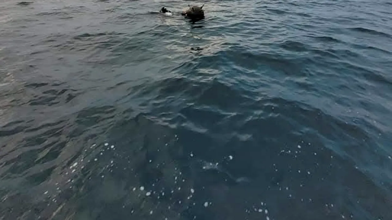 Contre între MApN și Ambasada Rusiei pe tema minelor în derivă din Marea Neagră