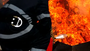 Incendiu puternic la o fabrică din Mogoşoaia - VIDEO