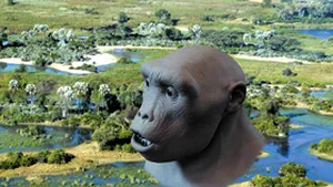 Omul din Toumai, cea mai veche specie de hominid