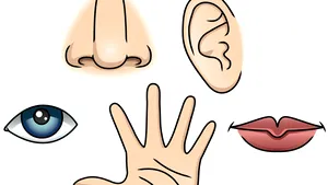 STUDIU: Al şaselea simţ, demitizat: puterile extrasenzoriale sunt doar un mecanism al creierului