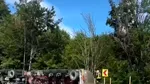 Trafic oprit după ce o autocisternă cu benzină s-a răsturnat pe DN7 în localitatea Cotmeana, județul Argeș