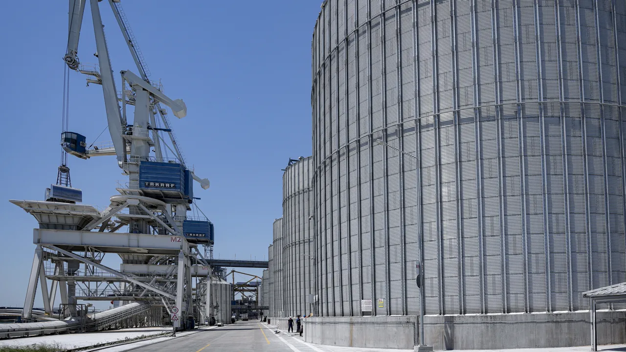 Cinci state est-europene, inclusiv România, cer UE soluţii pentru fermierii afectaţi de cerealele ucrainene