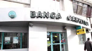 Carpatica a trecut pe profit în primul trimestru, cu 0,65 milioane lei, dar activele sunt în scădere