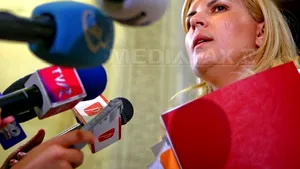 Udrea, înainte de BPN: Membrii PDL ce ocupă funcţii publice şi administrează afaceri să facă o opţiune