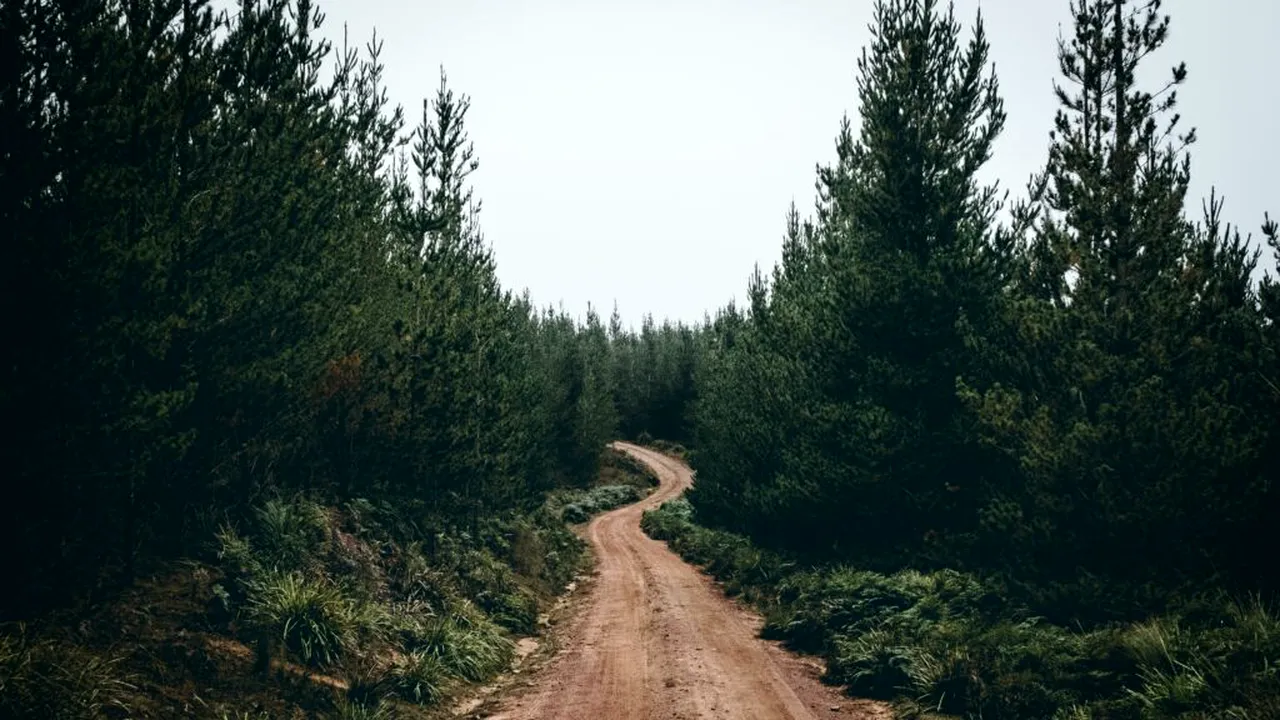 O canadiancă de 60 de ani, salvată după ce a rămas blocată pe un drum forestier din Sibiu