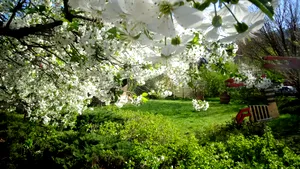 Vremea va fi frumoasă şi se va încălzi. PROGNOZA METEO pentru joi şi vineri