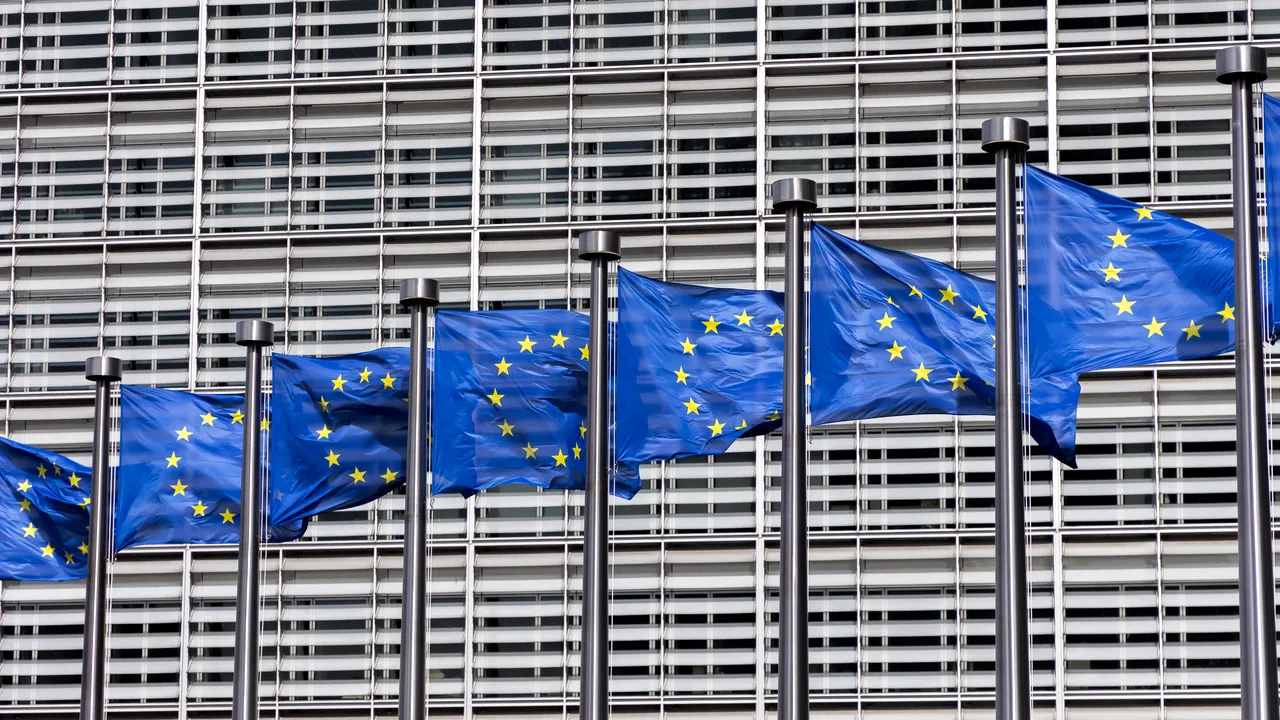 Europarlamentarii AUR fac demersuri la Strasbourg pentru reluarea turului al doilea al alegerilor