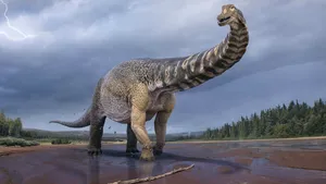 VIDEO Cel mai mare dinozaur descoperit în Australia. După 14 ani, paleontologii au ajuns la o concluzie 