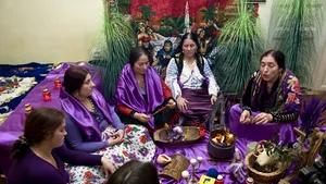 Vrăjitoarele care desfac blestemul flăcării violete au primit mulţumiri de la parlamentari