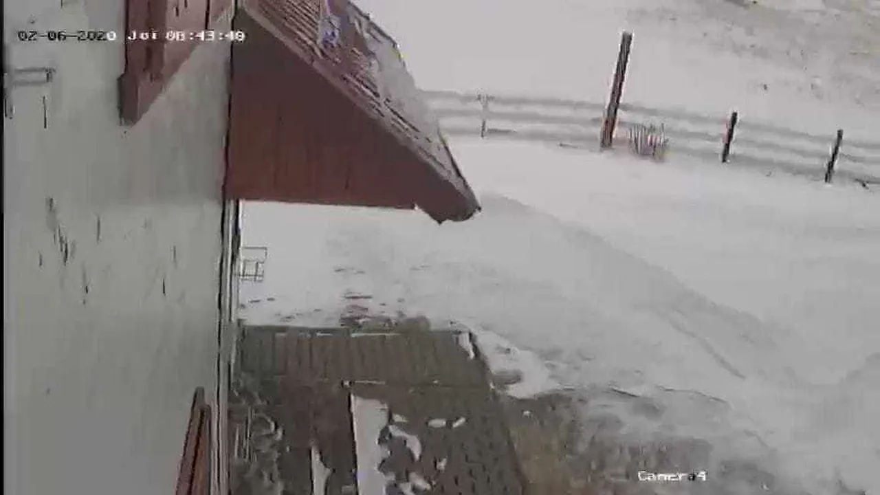 Staţiune ruptă de restul lumii, după ce vântul a doborât brazi pe drum. Zeci de oameni, izolaţi - FOTO şi VIDEO