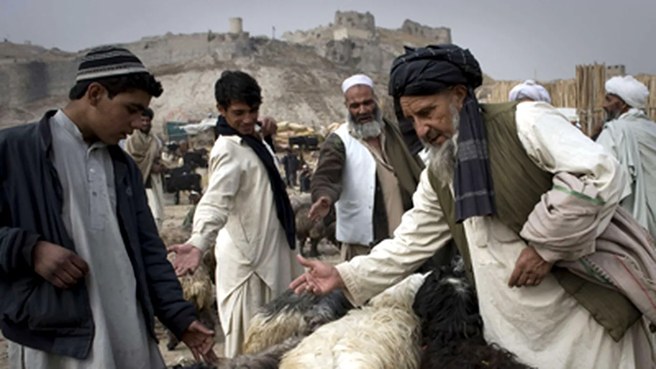 Un veterinar din armata britanică, prezenţă benefică pentru fermierii din Afganistan