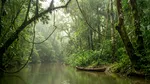 Un animal care s-a ascuns timp de zece milioane de ani, descoperit în timpul filmărilor lui Will Smith din Amazon