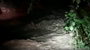 Avertisment Salvamont: Sunt posibile alunecări de teren, nu vă aventuraţi pe munte| VIDEO