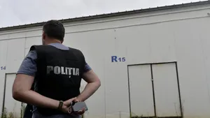 Peste 20 de percheziții în 6 județe, care vizează infracțiuni din domeniul silvic