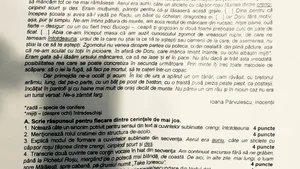 REZOLVARE SUBIECTE la Evaluarea Naţională 2018 | Profesor de română: Totul a fost accesibil/ Cum trebuiau rezolvate subiectele la limba română