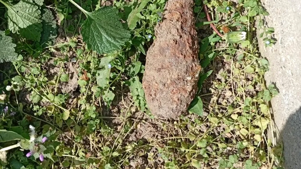 Bombă din al Doilea Război Mondial găsită pe un teren agricol din Neamț