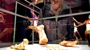 Prima expoziţie permanentă a unor corpuri umane disecate şi plastifiate, deschisă la Berlin