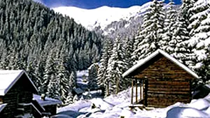 Strat de zăpadă de 20 de centimetri în Retezat